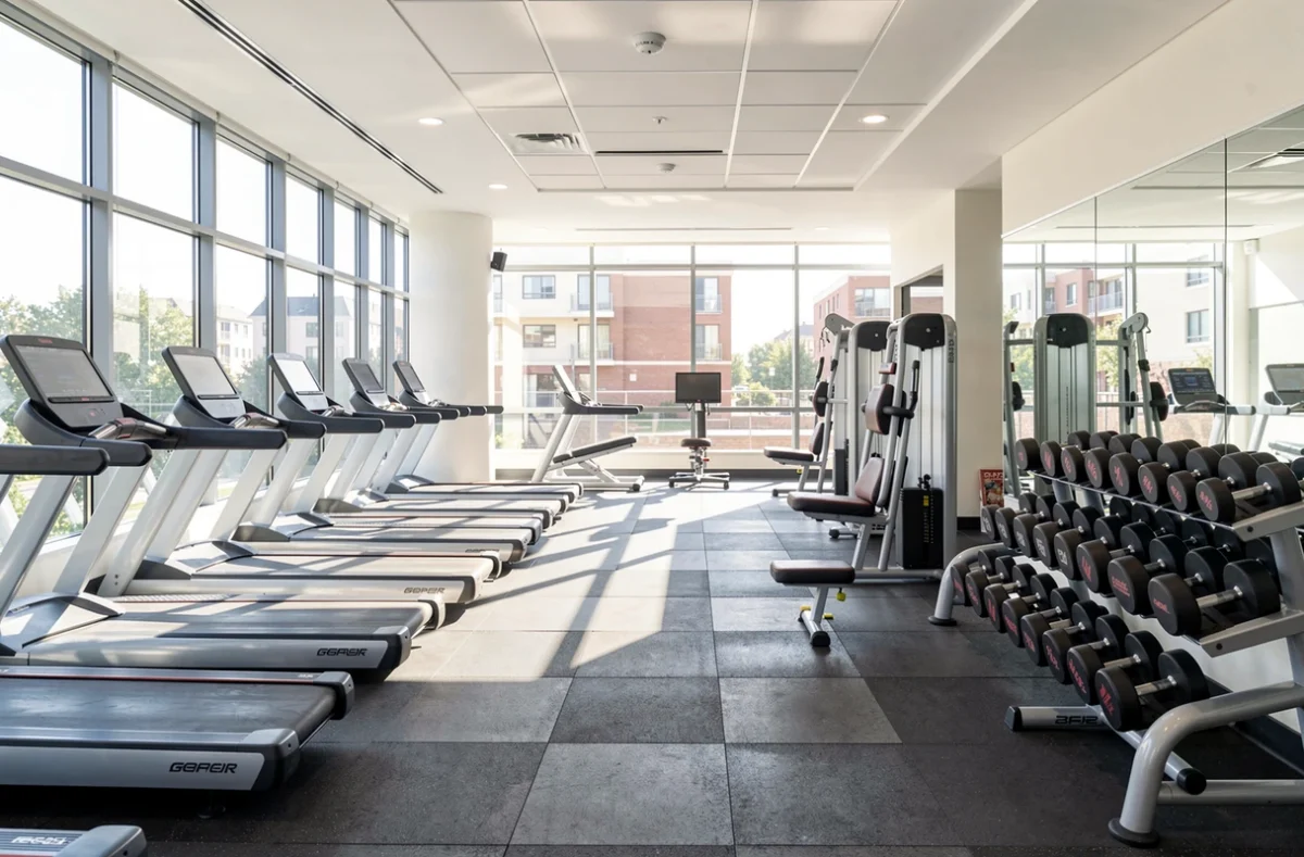 Intérieur lumineux d'une salle de sport avec machines et poids libres